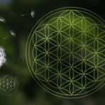 Die Blume des Lebens-Ursprung, Bedeutung & spirituelle Anwendung,Seelenfunkeln Blog – Spiritualität & bewusster leben