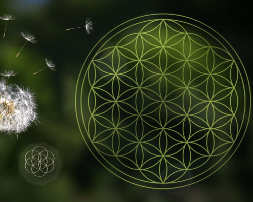 Die Blume des Lebens-Ursprung, Bedeutung & spirituelle Anwendung,Seelenfunkeln Blog – Spiritualität & bewusster leben